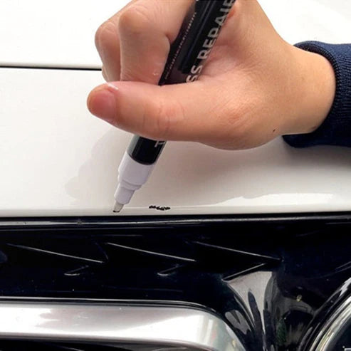 Paint Repair Kit
